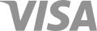 Visa Logo